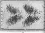 1904 Butterfly Diagram: Sunspots