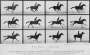 Galloping Horse, 1878